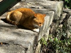 -沣峪森林公园龙潭戏水景区