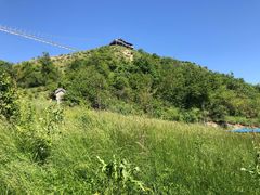-中华福寿山