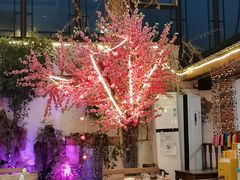 -丽江庭院之爱在路上(西单店)