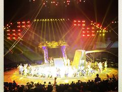 -珠海横琴长隆《卡卡虎奇遇记》