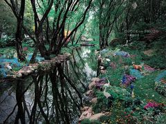 -上海共青森林公园