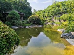 -吴淞炮台湾湿地森林公园烧烤区