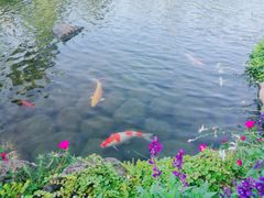 -罗红摄影艺术馆