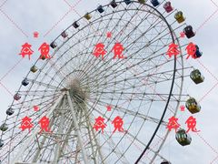 -琴岛之星摩天轮