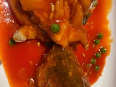 松鼠大桂鱼-绿波廊(豫园店)