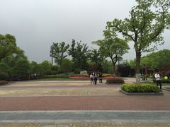 陈行公园-陈行公园