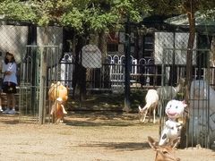 -北京麋鹿生态实验中心