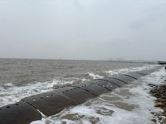 -东疆建设开发纪念公园