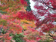 -三千院