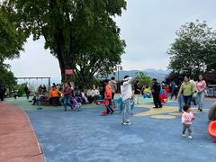 -铁山坪森林公园