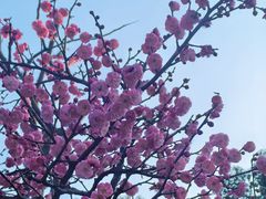-嘉北郊野公园