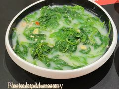 -羽鸽集·乳鸽专门店·地道顺德菜(岭南站店)