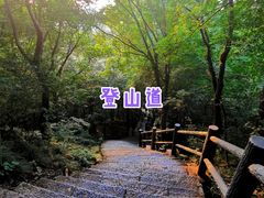-紫金山山顶公园