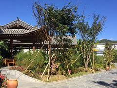 -腾冲洞山温泉村