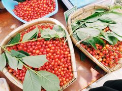 -樱桃山旅游景区