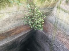 -柯岩风景区