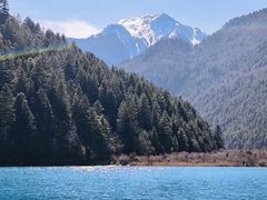 -九寨沟-树正沟