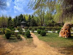 -沈阳鸟岛