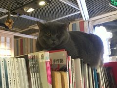-小时光咖啡馆(开森度假森林店)