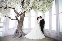 -保定金沙芝柏婚礼策划