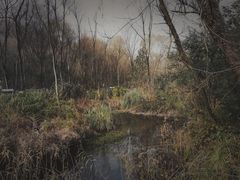 -西湖风景区-江洋畈生态公园
