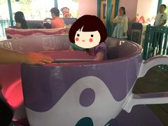 -疯帽子旋转杯