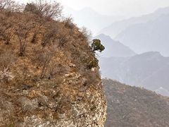 -圣莲山风景区