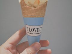 -王守财小山園