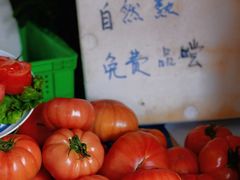 -葑门横街