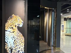 -剪刀石头布家居广场