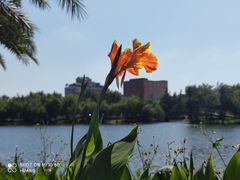 -五里桥文化公园-西侧停车场