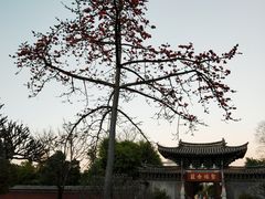 -建水文庙