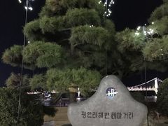 -广安大桥