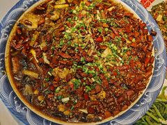 -新概念来凤鱼(璧山店)