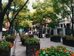-飞马旅黎黄陂路文旅街区