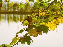 -仙海旅游度假区