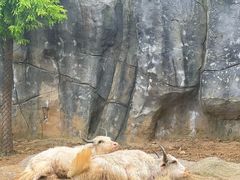 -武汉动物园