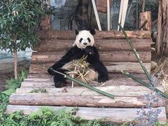 -泉州海丝野生动物世界