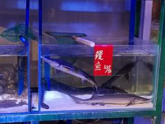 -十六蒲(桂林路店)