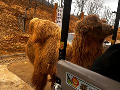 -南京金牛湖风景区