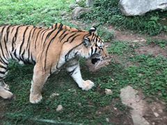 -西安秦岭野生动物园