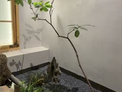 -本处·素食·融合料理(南油店)