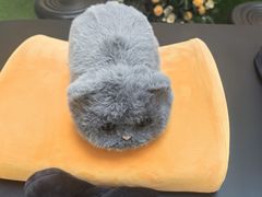 -王府井百货熙地港店