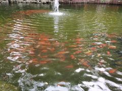 -大悲禅寺