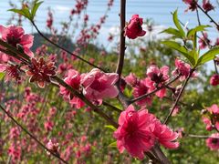 -水濂山森林公园