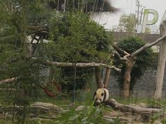 -武汉动物园