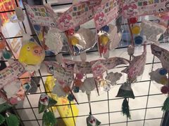 -管氏翅吧(台湾街店)