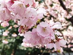 -静安雕塑公园