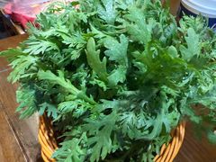 -欧阳小姐在成都(鼓楼店)