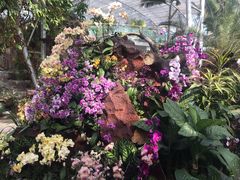 -北京植物园-展览温室